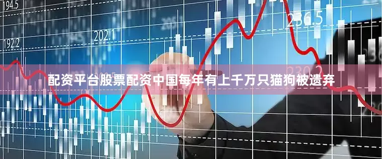配资平台股票配资中国每年有上千万只猫狗被遗弃
