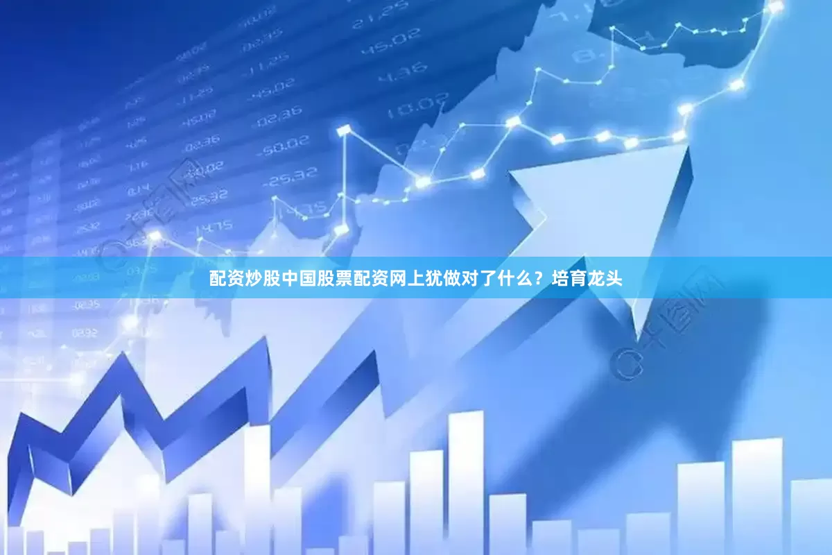 配资炒股中国股票配资网上犹做对了什么？培育龙头