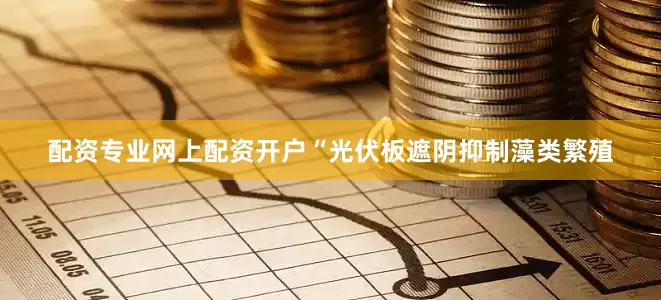 配资专业网上配资开户“光伏板遮阴抑制藻类繁殖