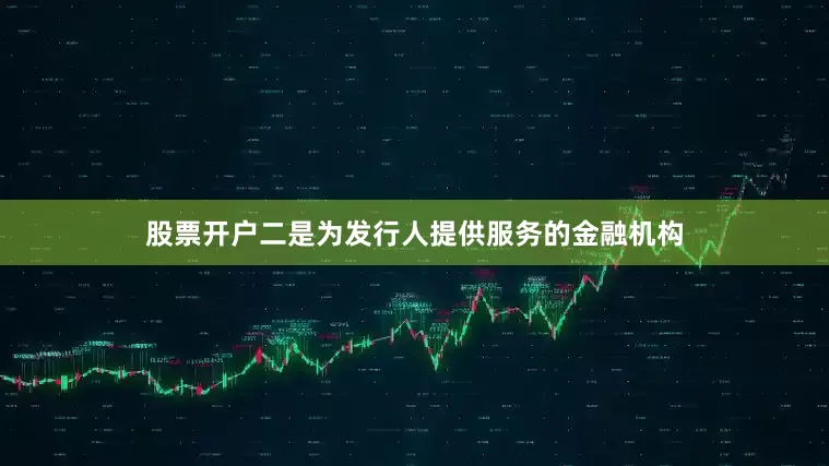 股票开户二是为发行人提供服务的金融机构